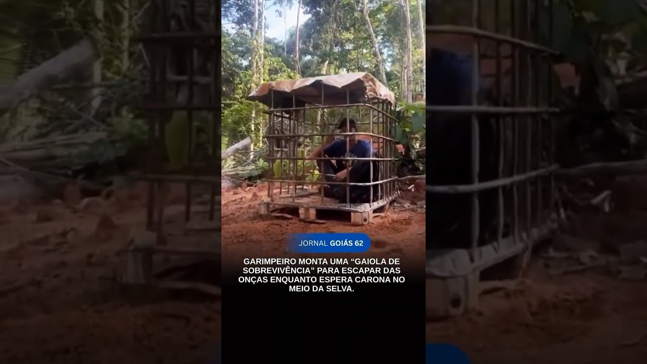 GARIMPEIRO FICA EM “GAIOLA ” PARA ESCAPAR DAS ONÇAS ENQUANTO ESPERA CARONA NO MEIO DA SELVA.