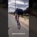 De onde surgiu essa galinha !😅