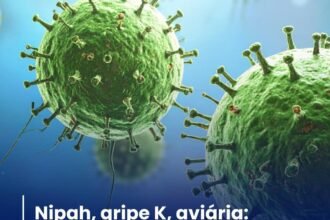 NIPAH, GRIPE K, AVIÁRIA: AS DOENÇAS NO RADAR DE INFECTOLOGISTA EM 2026